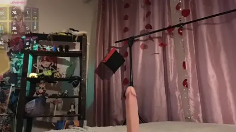 Carolina_Leep — Stripchat stream photo (Aug 2026)
