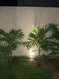 Nikii__ — Stripchat stream photo (Aug 2026)