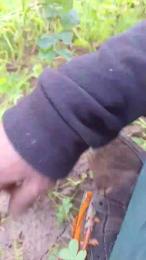 Lurio — cam4でウェブカムモデルオンライン