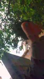 Smoketop — Cam4 stream photo (Feb 2026)