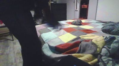 ElleestOuu — Cam4 stream photo (May 2026)
