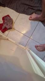 Mateur3pieces — Cam4 stream photo (Feb 2026)