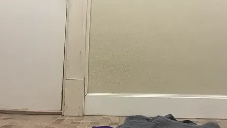 CollegeExhibition — stripchatでウェブカムモデルオンライン