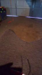 bigjer6 — Cam4 stream photo (May 2026)