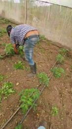 jo23_xxx — Cam4 stream photo (Apr 2026)