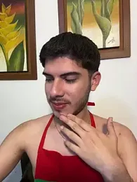 ApoloGray__ — Stripchat stream photo (Jun 2026)