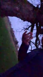 Gym2 — cam4でウェブカムモデルオンライン