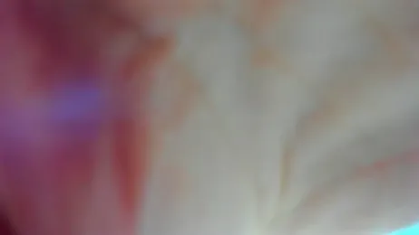 AishaRouhi — stripchatでウェブカムモデルオンライン