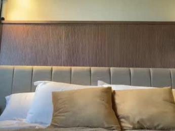 littlemissmia222 — chaturbate
