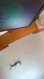 Zipfl67 — Cam4 profile photo