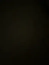 shiro_3 — Stripchat stream photo (Aug 2026)