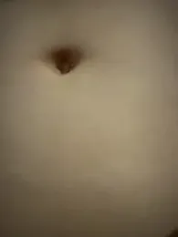 shiro_3 — Stripchat stream photo (Aug 2026)
