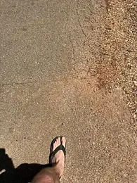 w12er — Stripchat stream photo (Jun 2026)
