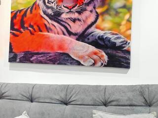 Dante Adamss — Flirt4free stream photo (Mar 2026)