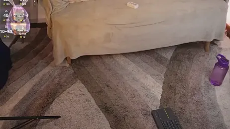 bunnycuteshy — Stripchat stream photo (Feb 2026)