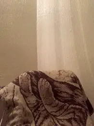 veilofstrength — Stripchat profile photo