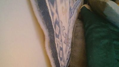 bidadbody24 — Cam4 stream photo (Sep 2026)