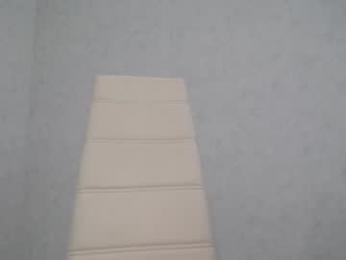 arinamir — Chaturbate stream photo (Feb 2026)