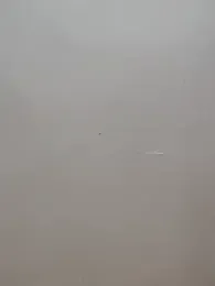 simran_sharma01 — Stripchat stream photo (Mar 2026)