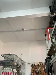 Paul22cm- — Stripchat stream photo (Mar 2026)