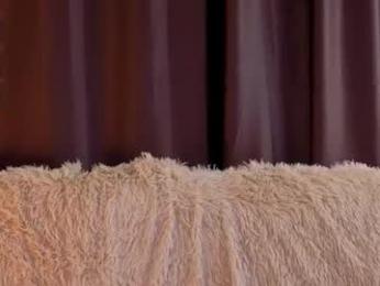 sunshinegirlx — Chaturbate stream photo (Dec 2025)