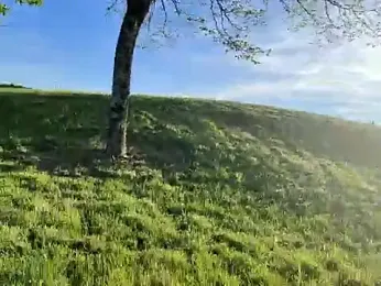 lui8181 — Stripchat stream photo (Apr 2026)