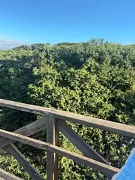 HeavenNHell — Stripchat stream photo (Nov 2025)