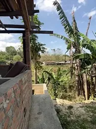 Jacksonfranco — stripchatでウェブカムモデルオンライン