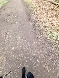 LadyLeni — stripchat