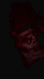 Sum85 — Cam4 stream photo (Sep 2026)