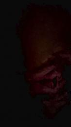Sum85 — Cam4 stream photo (Sep 2026)