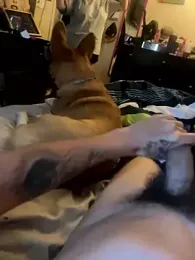 AshleyJosh0411 — Stripchat stream photo (Apr 2024)