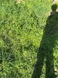 Marlon06_ — Stripchat stream photo (Apr 2026)