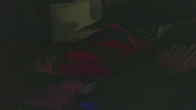 Ginevra_00 — cam4でウェブカムモデルオンライン