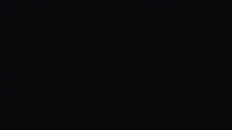 xCouple_Fox — Stripchat profile photo