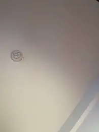 Andrestarr — Stripchat profile photo