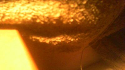 allblond1 — Cam4 stream photo (Sep 2026)