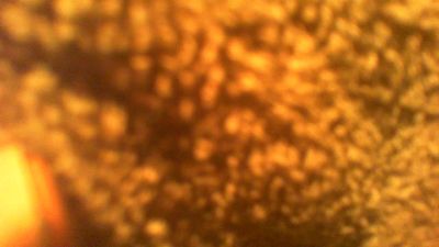 allblond1 — Cam4 stream photo (Sep 2026)
