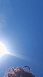naturist__xl — cam4でウェブカムモデルオンライン