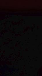 Love69xxl — Cam4 stream photo (Jan 2026)