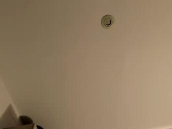 hollyprincess_2 — Chaturbate stream photo (Apr 2026)