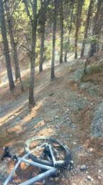 Laoquedad — Cam4 stream photo (Apr 2026)