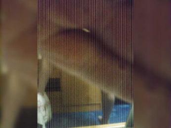 gabgeo3338 — Bongacams stream photo (May 2024)