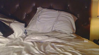 formerlygeneral — cam4でウェブカムモデルオンライン