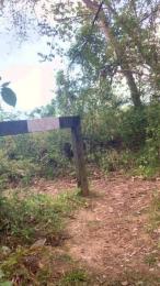 Joueurh — Cam4 stream photo (Apr 2026)