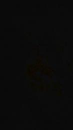 Iava_08 — Cam4 stream photo (Apr 2026)