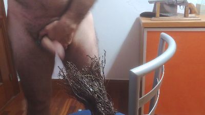 txintxo — cam4でウェブカムモデルオンライン