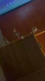 yourdevil666 — Cam4 stream photo (May 2026)