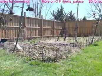 ells_palace — chaturbate