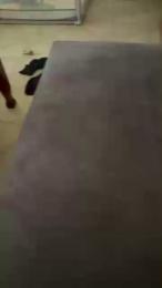 Pollonmario — Cam4 stream photo (May 2025)